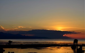 Sunsetnya berkejaran dengan para pengumpul rumpul laut yang juga ingin pulang