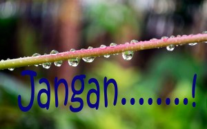 Jangan Katakan 'Jangan'