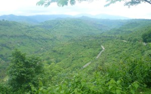 Ncai Kapenta_Pergi ke Wera