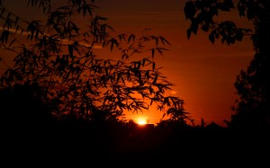 Siluet di Jln. Udayana