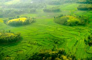 Kehidupan di Bumi_kapan akan berakhir?